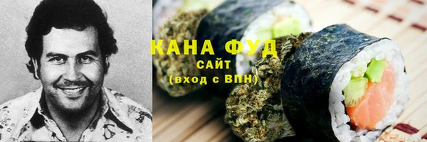 молекула духа Богданович