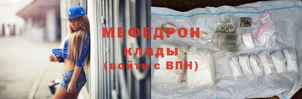молекула духа Богданович