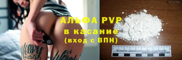 молекула духа Богданович