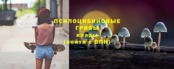 не бодяженный Богородицк