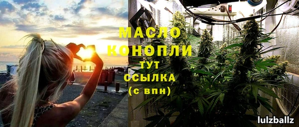 молекула духа Богданович