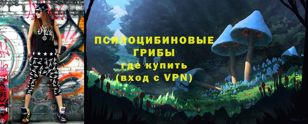 не бодяженный Богородицк