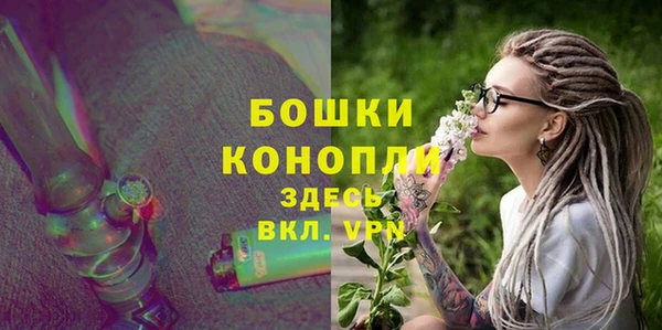 спиды Богородск