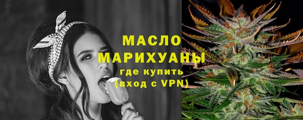 молекула духа Богданович