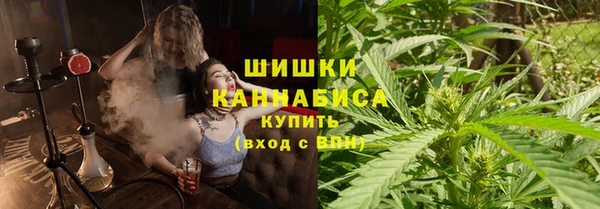 спиды Богородск
