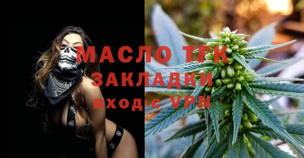 молекула духа Богданович