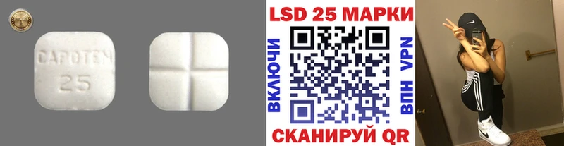 Лсд 25 экстази ecstasy  дарк нет наркотические препараты  Гатчина 